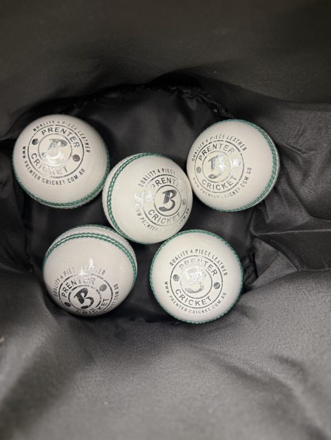 Cricket Training Ball - 4 piece