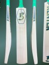 Hand Crafted Cricket Bat - SH - (261013)