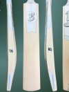 Hand Crafted Cricket Bat - SH - (261016)