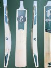 Hand Crafted Cricket Bat - SH - (261020)