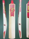 Hand Crafted Cricket Bat - SH - (261022)