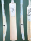 Hand Crafted Cricket Bat - SH - (261026)