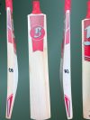 Hand Crafted Cricket Bat - SH - (261029)