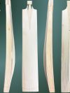 Pro Players Handcrafted Cricket Bat - (261042)