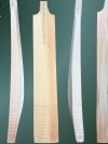 Premier Range Handcrafted Cricket Bat - (261048)
