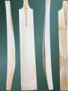 Select Series Handcrafted Cricket Bat - (261056)
