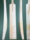 Select Series Handcrafted Cricket Bat - (261060)